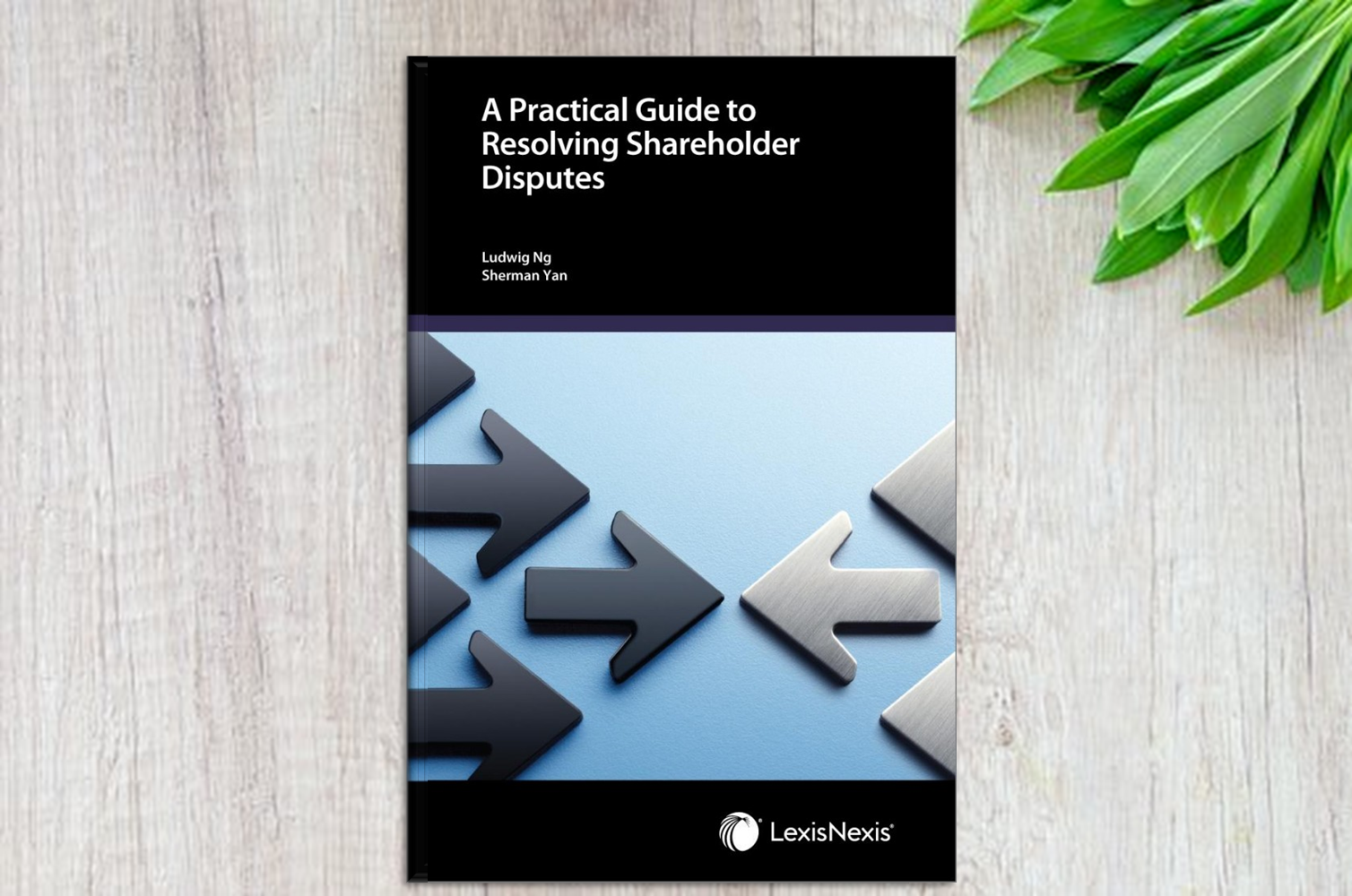 A Practical Guide to Resolving Shareholder Disputes