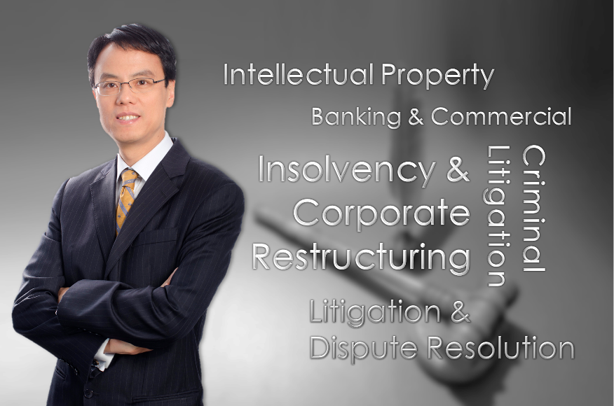 Mr. Ludwig Ng gave a seminar to the Academy of Law on recent developments in asset recovery through liquidation